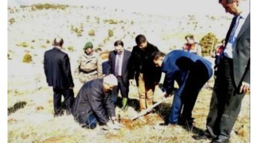 Derebucak Kaymakamı Ay, Fidan Dikti