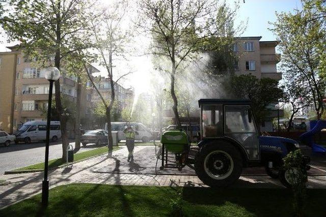 Şehitkamil Belediyesi, Ağaçlarda İlaçlama Çalışması Başlattı