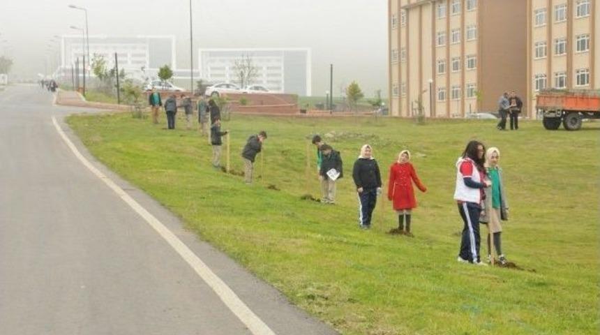 Om&uuml;&rsquo;ye Ihlamur Yolu