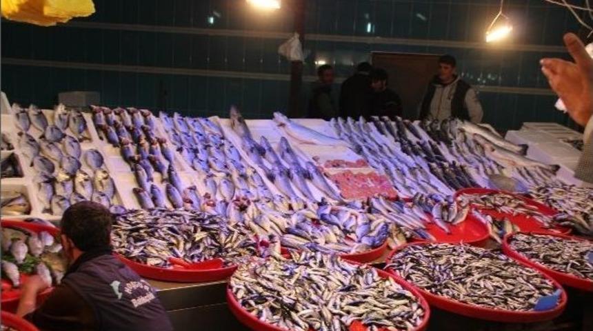 Deniz Balıklarında Son G&uuml;n