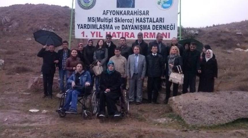 Afyonkarahisar&rsquo;daki Ms Hastaları Ağa&ccedil; Dikti