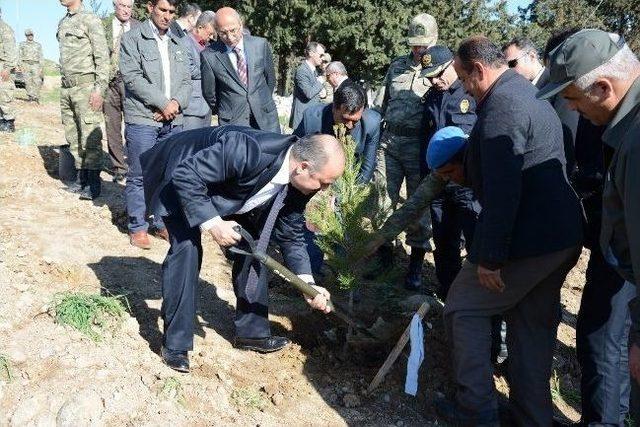 Vali Aydın, Mehmet&ccedil;ik İle Birlikte Fidan Dikti 1