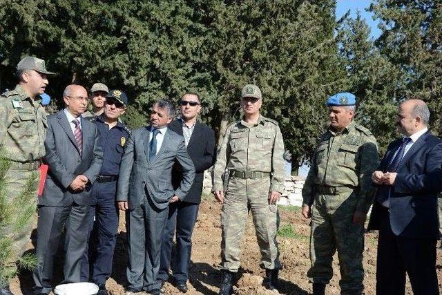 Vali Aydın, Mehmet&ccedil;ik İle Birlikte Fidan Dikti 2