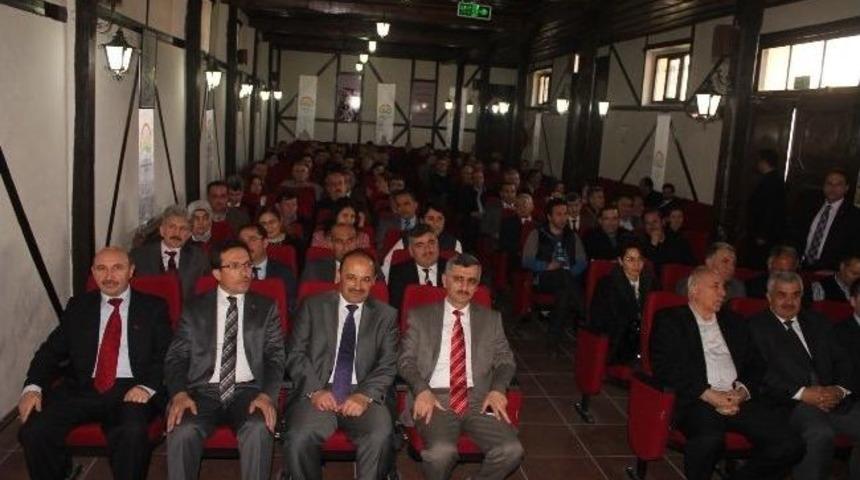 Sağlıklı Bir Beyin İ&ccedil;in G&uuml;nde En Az 5 Ceviz Yemeli