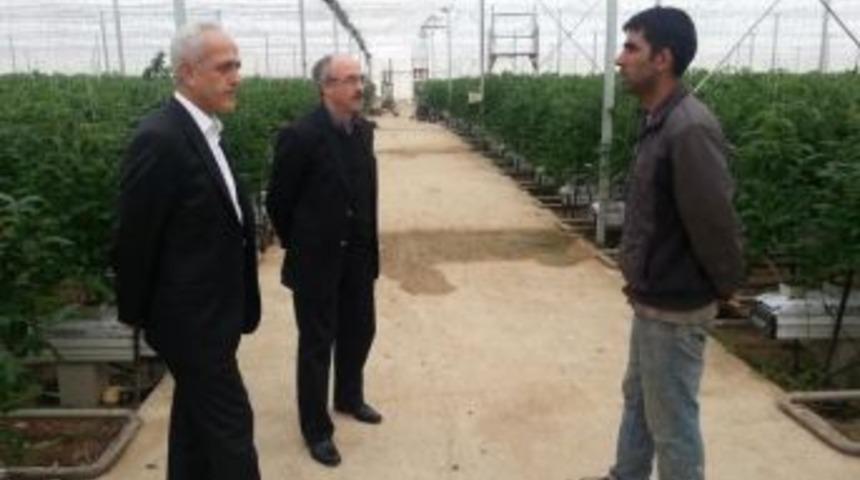 Yozgat&rsquo;ta Seracılık Geliştirilecek