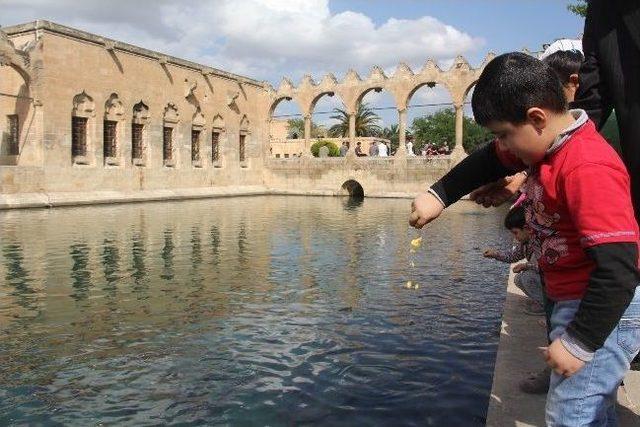 Balıklıg&ouml;l de Yem Sorunu 1