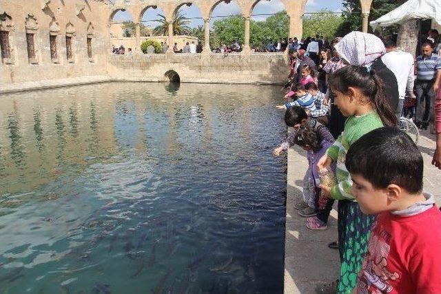 Balıklıg&ouml;l de Yem Sorunu 2