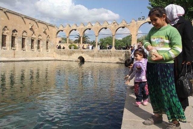 Balıklıg&ouml;l de Yem Sorunu 3