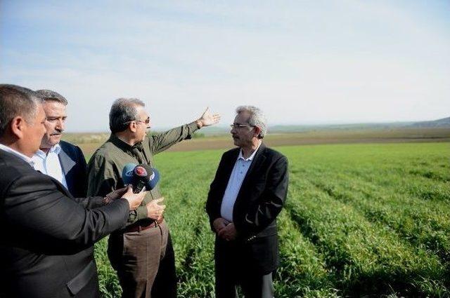 Bakan Eker, Körtik Tepe’de İncelemede Bulundu