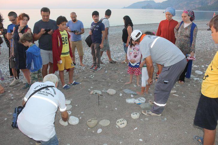 Caretta caretta yuvasında son 22 yılın rekoru kırıldı  G3