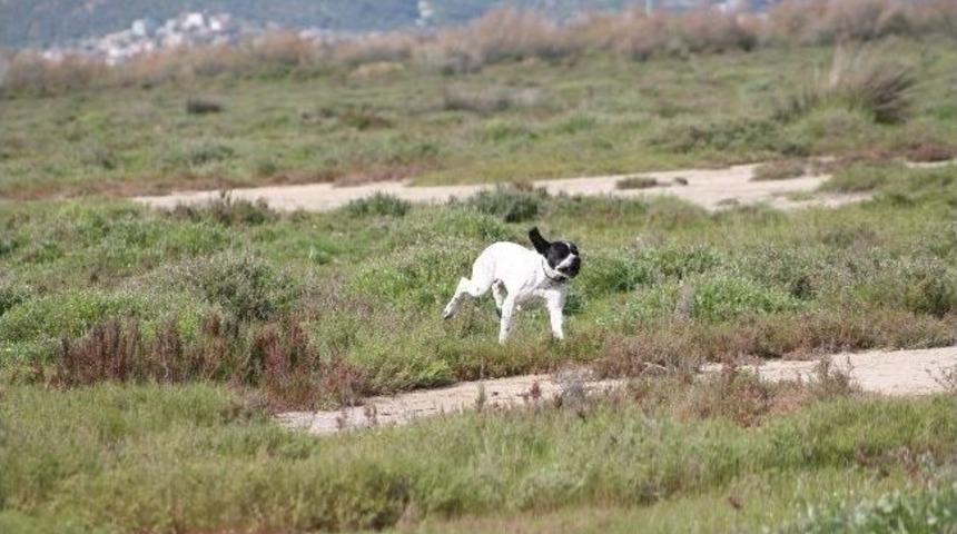 Başkan Bakıcı'ya İlk Plaket Avcılardan