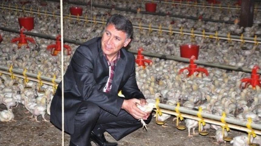 &Ouml;demiş Kaymakamı D&ouml;lek, Birgi'de İncelemede Bulundu