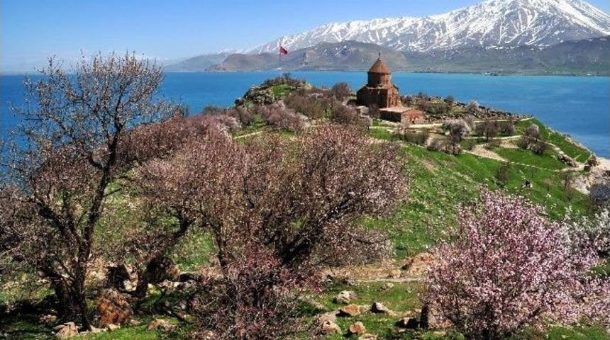 Akdamar Adası &Ccedil;i&ccedil;ek A&ccedil;tı