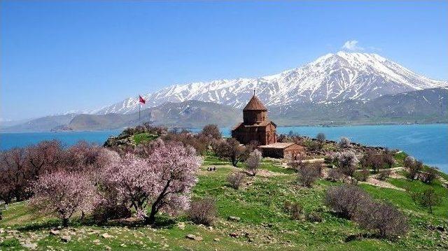 Akdamar Adası Çiçek Açtı