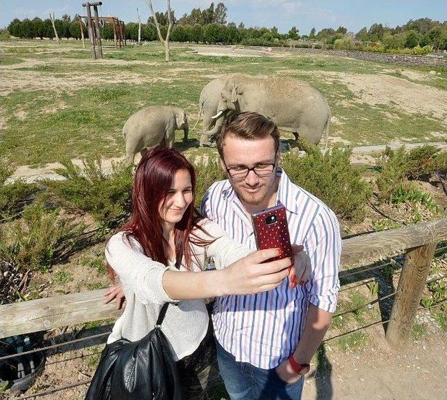 Bu Da &ldquo;izmir&rdquo; Selfiesi 1