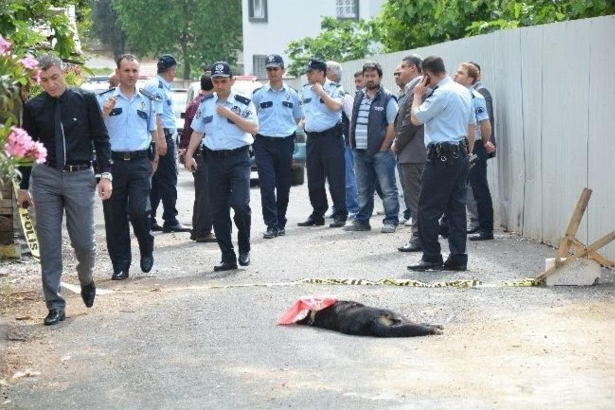Polise K&ouml;pekli Saldırı Kanlı Bitti
