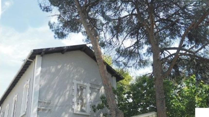 "karşıyaka Garı Ve Anıt Ağa&ccedil;larına Kıymayın!"