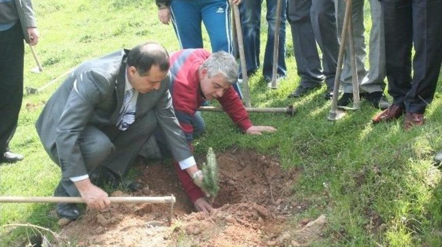 Toplum Ruh Sağlığı Merkezi&rsquo;nden Hatıra Ormanı