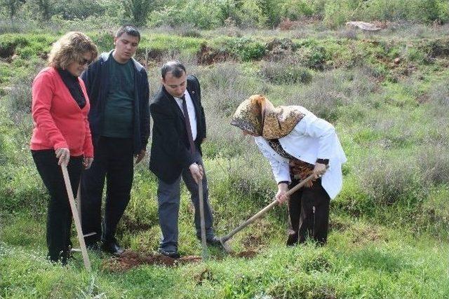 Toplum Ruh Sağlığı Merkezi’nden Hatıra Ormanı