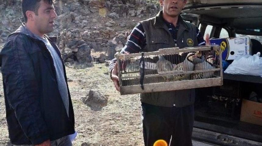Iğdır'da Keklik Avcılarına Para Cezası