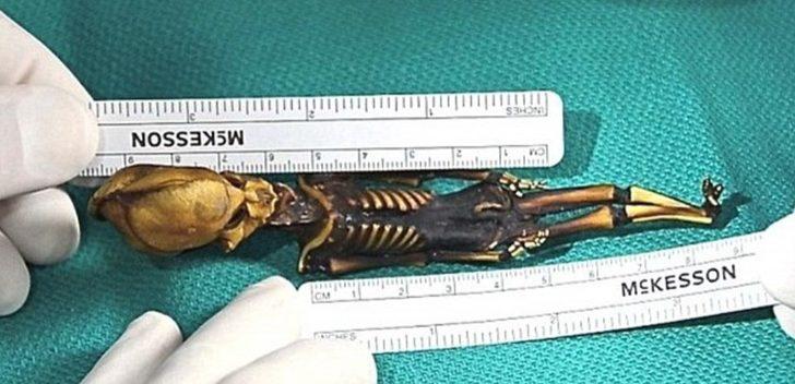 Uzaylı olduğu iddia edilen mumyanın sırrı çözüldü G1