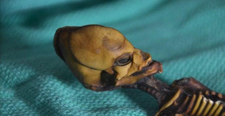 Uzaylı olduğu iddia edilen mumyanın sırrı çözüldü G2