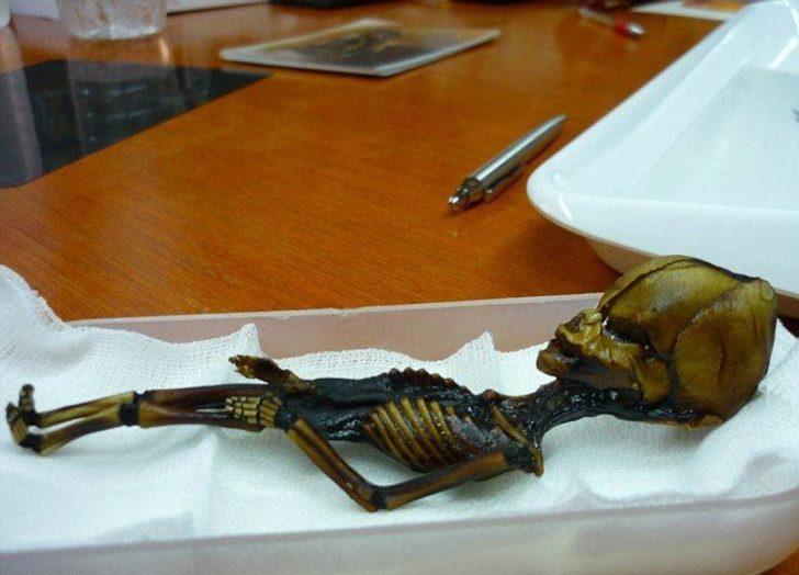 Uzaylı olduğu iddia edilen mumyanın sırrı çözüldü G3