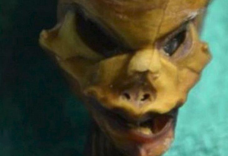 Uzaylı olduğu iddia edilen mumyanın sırrı çözüldü G5