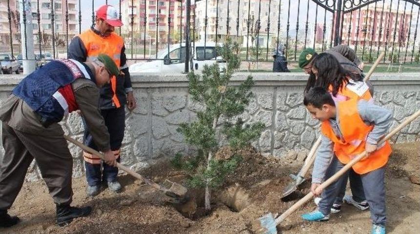 Jandarma&rsquo;dan Her Şehit İ&ccedil;in Bir Fidan
