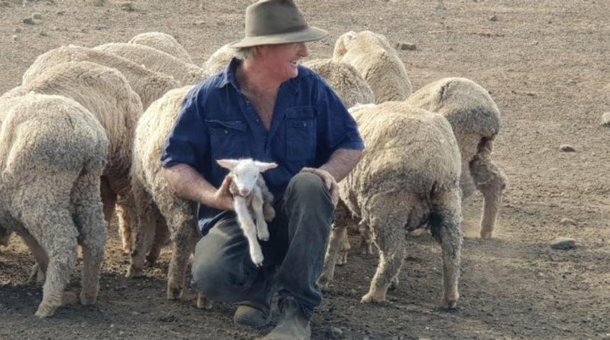 Masrafını karşılayamadığı için 1200 koyunu vurmayı planlıyor! Aralarında o da var!