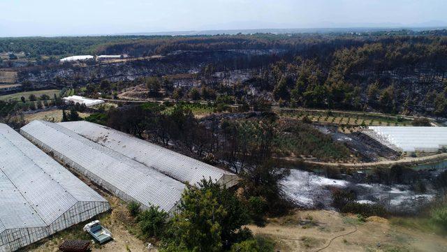 Aksu'daki orman yangınında hasar tespiti yapılıyor (2)