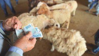  Bayraktar kurbanlık fiyatlarını a&ccedil;ıkladı