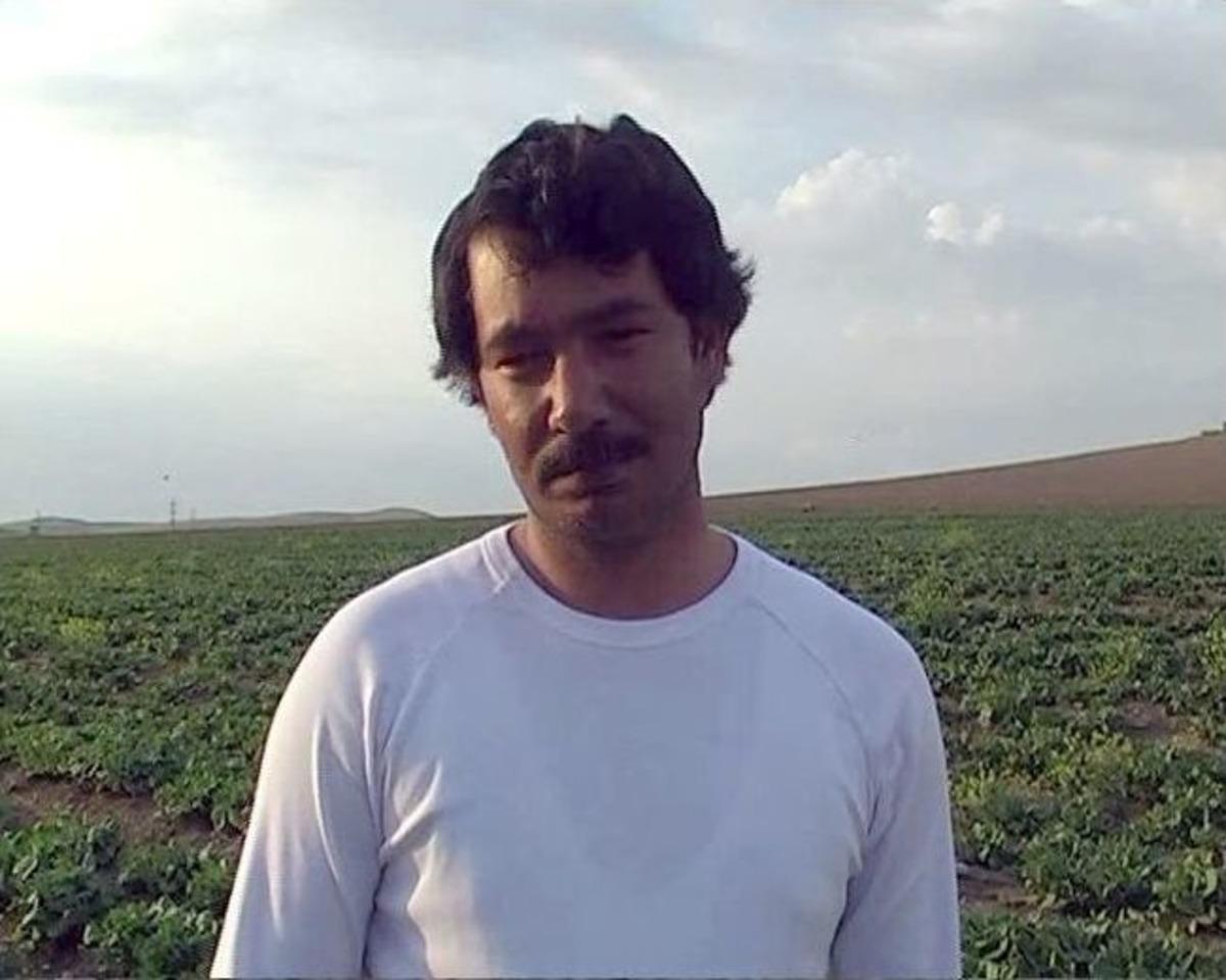 Dolu Yağışı Marul Ve Fıstık &Uuml;reticilerini Vurdu