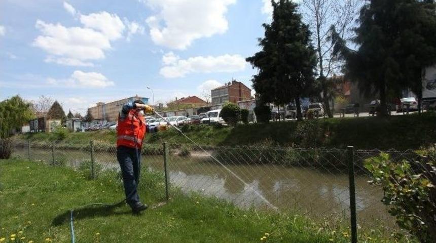 Odunpazarı&rsquo;nda Haşere İle M&uuml;cadele &Ccedil;alışmaları