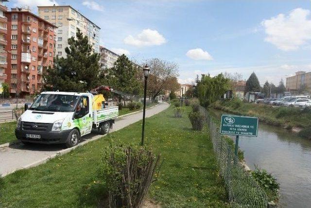 Odunpazarı&rsquo;nda Haşere İle M&uuml;cadele &Ccedil;alışmaları 1