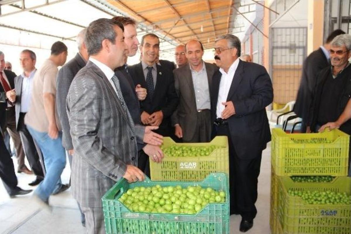 Mut&rsquo;ta Hal Sezonu Dualarla A&ccedil;ıldı