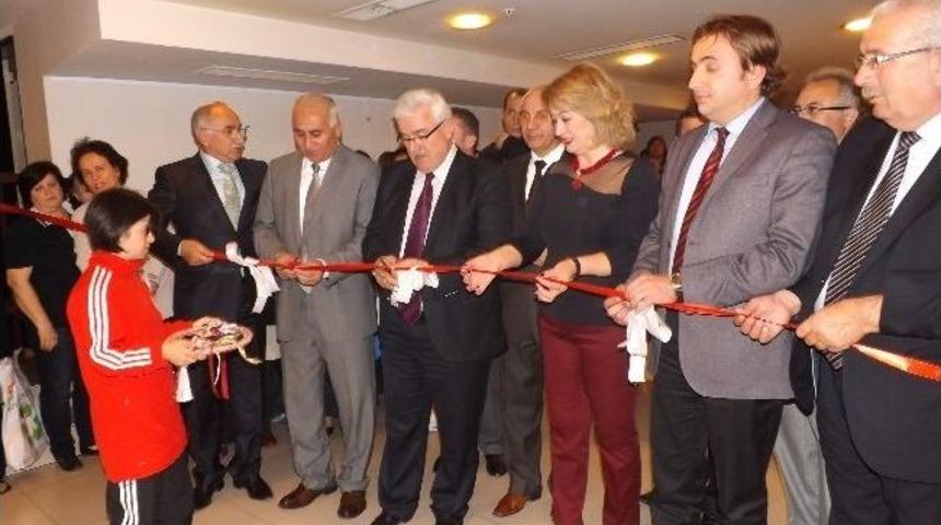 Ke&ccedil;e Sanatı Sergisi A&ccedil;ıldı
