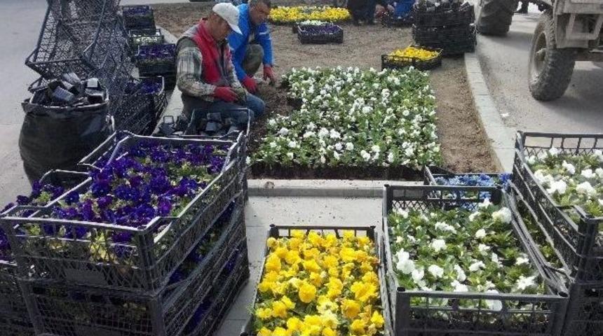 Kırıkkale Mevsim &Ccedil;i&ccedil;ekleri İle Renklendi