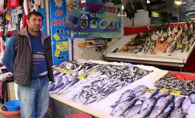 Av Yasağı Balık Fiyatlarını Etkilemeyecek