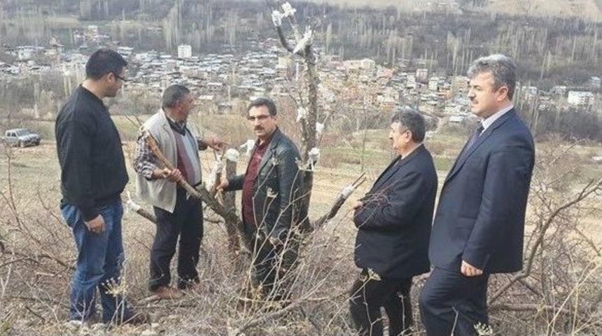 Erzurum Obm&rsquo;den Yabanıl Meyvelerin Ağa&ccedil;landırma Projesi