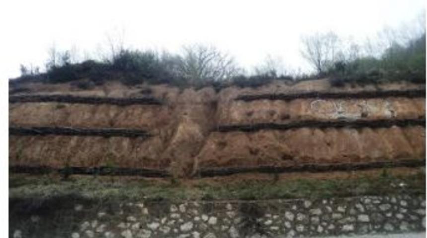 Bartın Amasra Yolu Ağa&ccedil;landırıldı