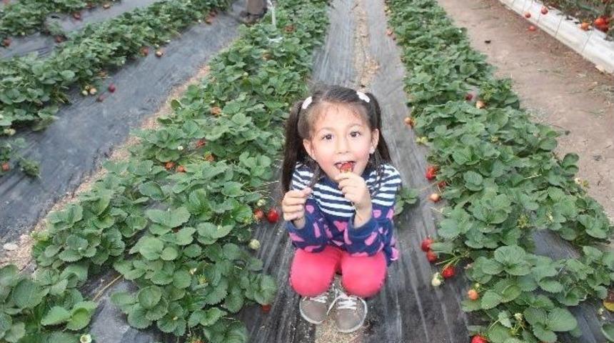 Serasını Ar-ge Tesisine D&ouml;n&uuml;şt&uuml;rd&uuml;