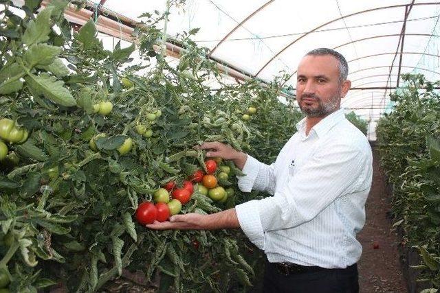 Serasını Ar-ge Tesisine Dönüştürdü