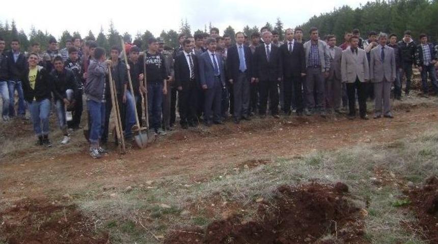 Ormanlar Hayat Bulsun Projesi İle Bin &Ccedil;am Fidanı Dikildi