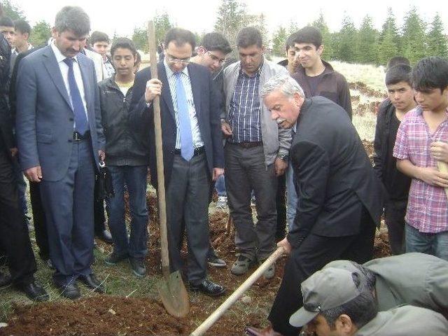 Ormanlar Hayat Bulsun Projesi İle Bin Çam Fidanı Dikildi