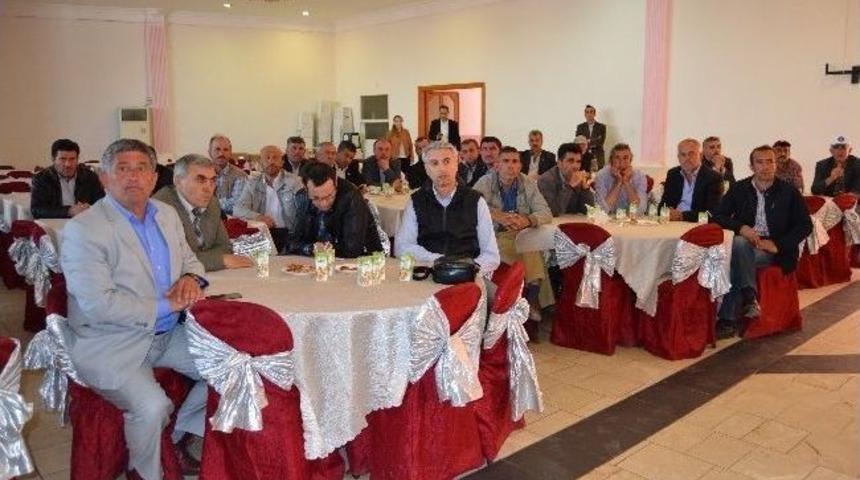 Aşırı Sulama Biberi Hasta Ediyor