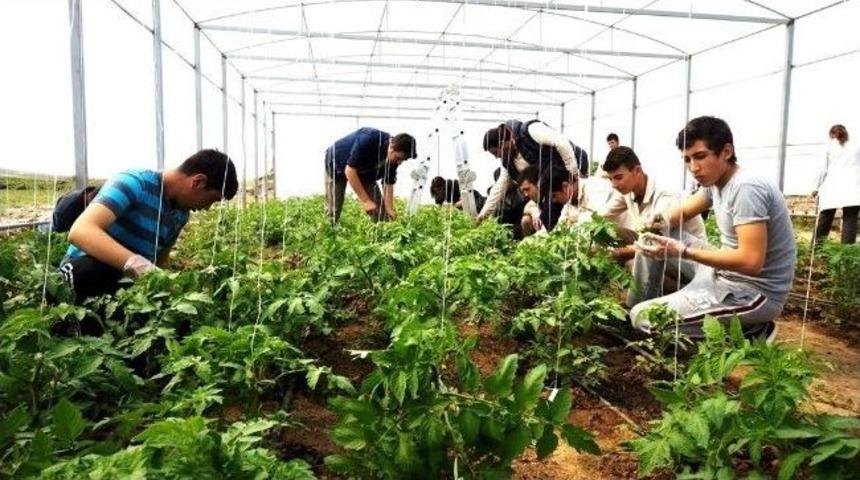 Sarıg&ouml;ll&uuml; &Ouml;ğrenciler &Ccedil;ift&ccedil;ilere Eğitim Veriyor