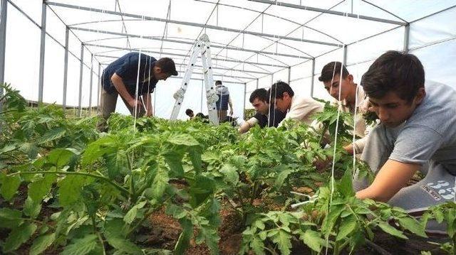Sarıg&ouml;ll&uuml; &Ouml;ğrenciler &Ccedil;ift&ccedil;ilere Eğitim Veriyor 2