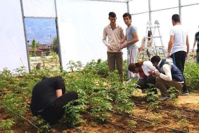Sarıg&ouml;ll&uuml; &Ouml;ğrenciler &Ccedil;ift&ccedil;ilere Eğitim Veriyor 3