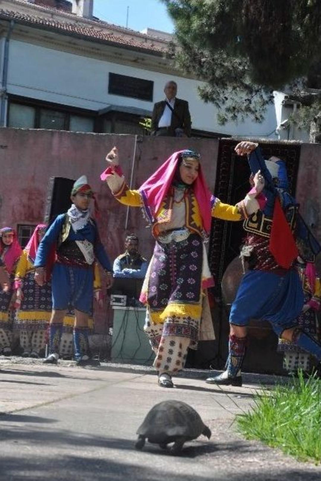 Turizm Haftası Kutlamalarında Kaplumbağa S&uuml;rprizi